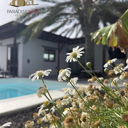 Luz Villa *