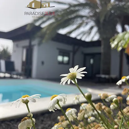 Luz Villa
