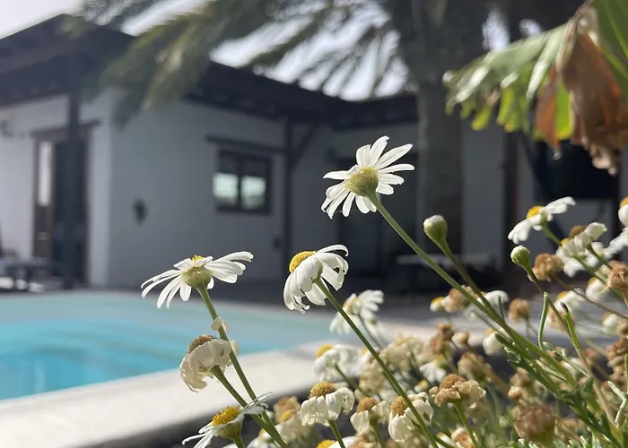 Luz Villa *